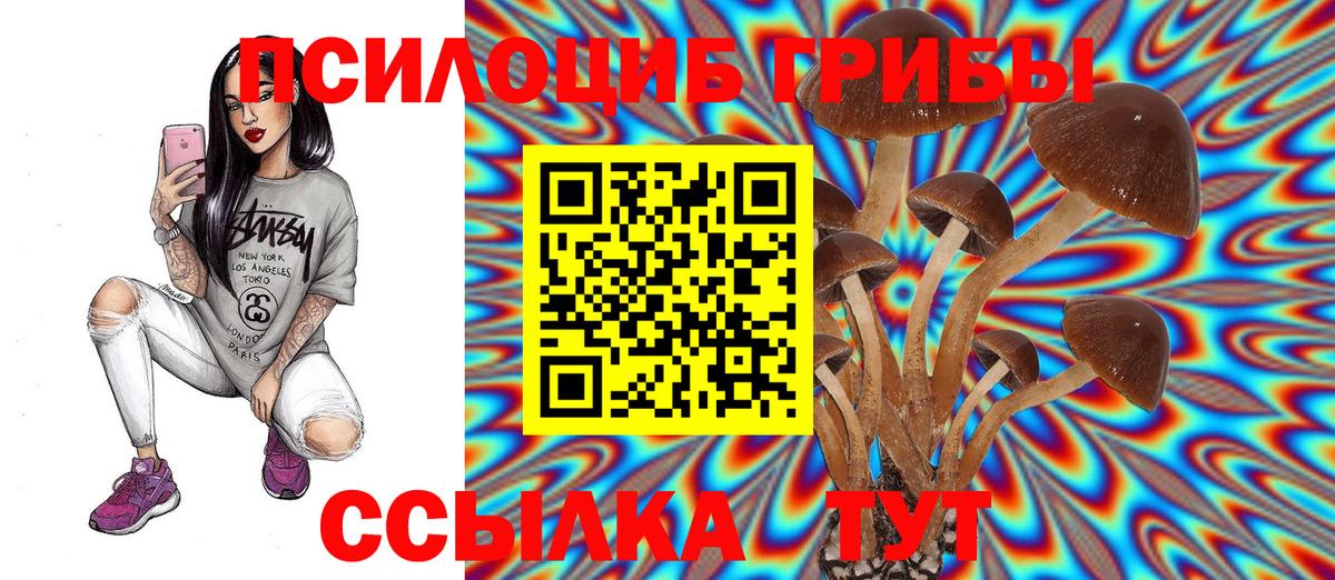 Галлюциногенные грибы ЛСД Рязань