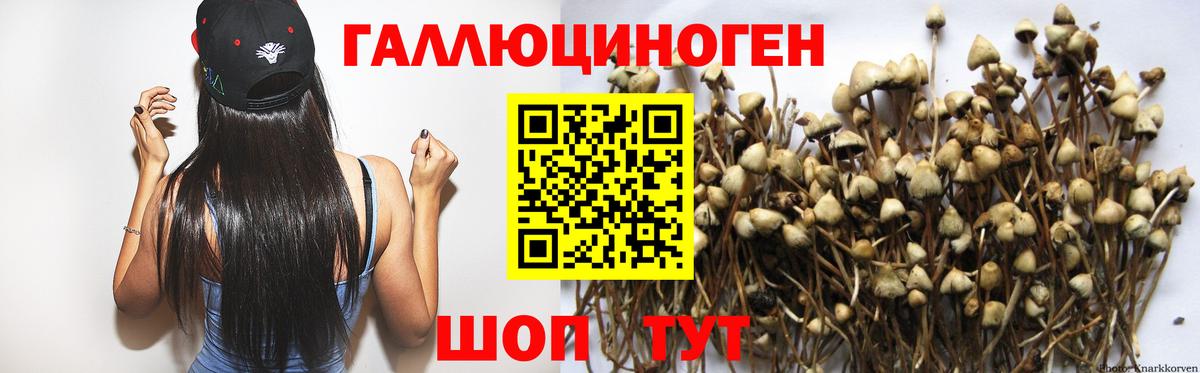Галлюциногенные грибы Magic Shrooms  как найти   Рязань  Вход с VPN 